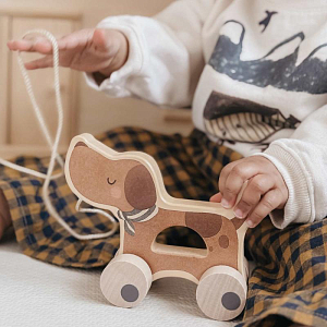 Игрушка деревянная в виде собаки на колесах Mrs. Ertha "Poppy", коричневая